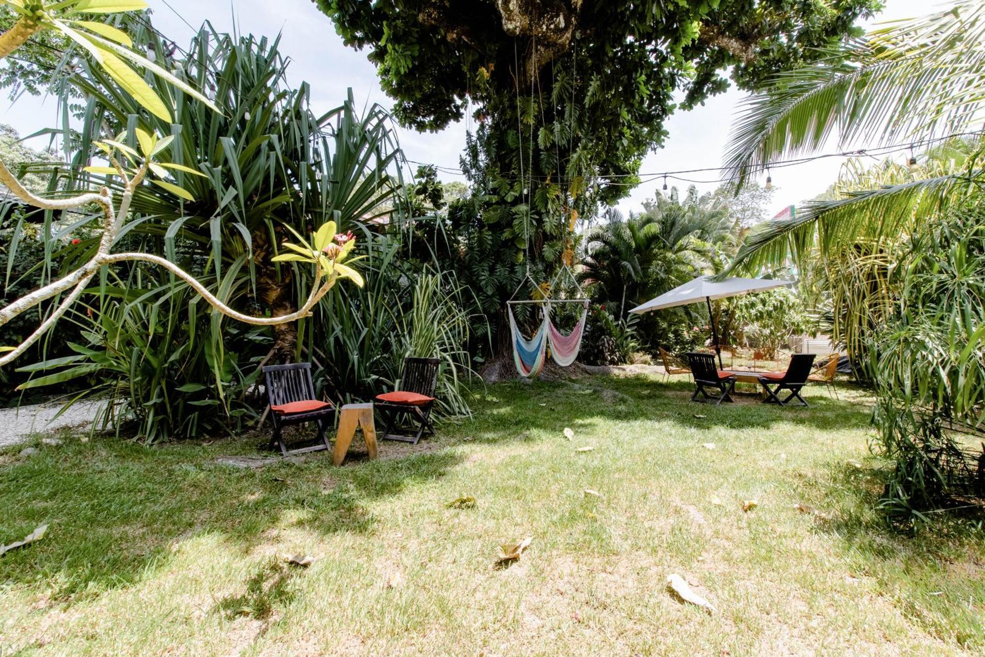 Bajo El Arbol B&B Playa Santa Teresa  Екстер'єр фото