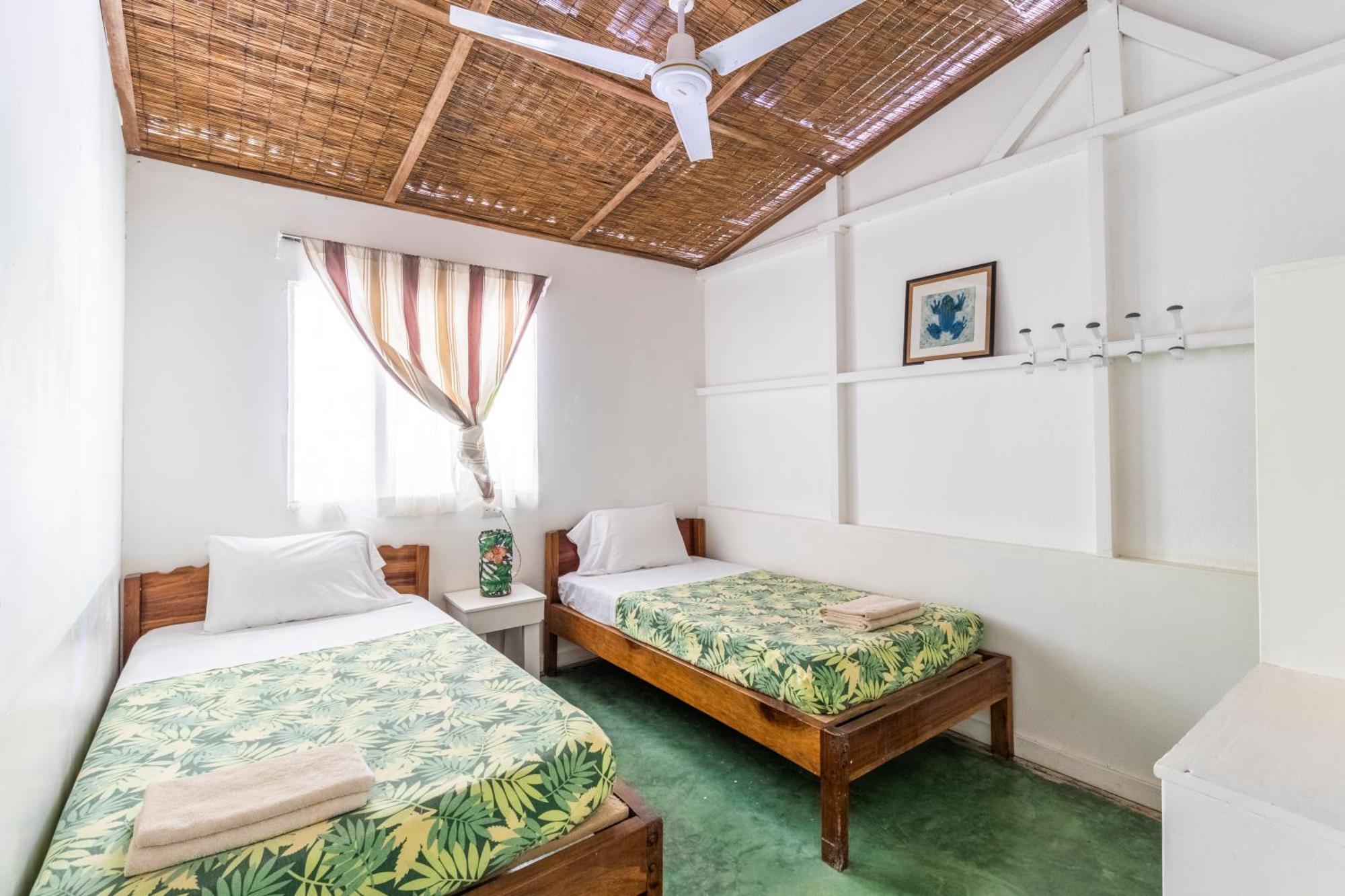 Bajo El Arbol B&B Playa Santa Teresa  Екстер'єр фото